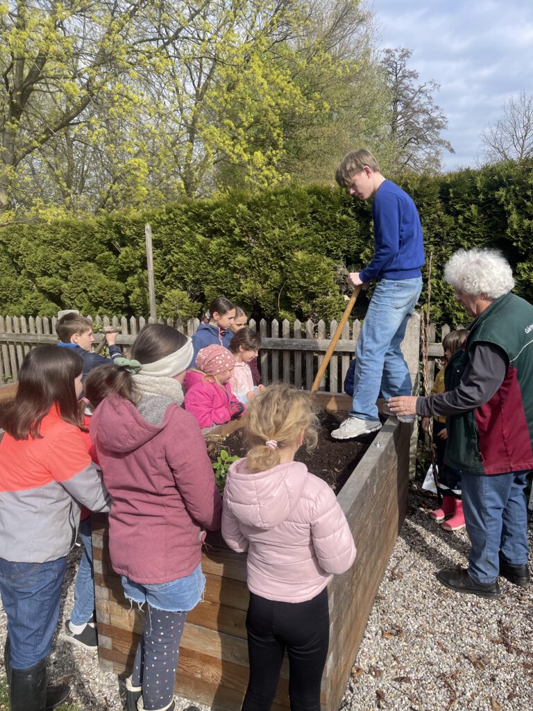 Eine Gruppe von Kindern steht gespannt um ein hölzernes Hochbeet, während ein Jugendlicher auf dem Rand steht, um die Erde für die neue Gartensaison vorzubereiten; rechts erklärt ein Erwachsener in einer grünen Weste den Beet Buddies wichtige Zusammenhänge beim Gärtnern.