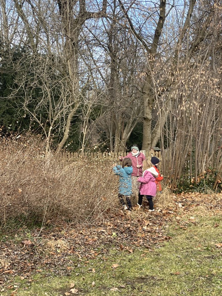 Eine Gruppe von Kindern in bunten Jacken und eine Betreuerin stehen bei einem Natur-Ausflug der „Beet Buddies“ im winterlichen Garten an Büschen, um gemeinsam Knallerbsen zu suchen und die Umgebung zu erkunden.