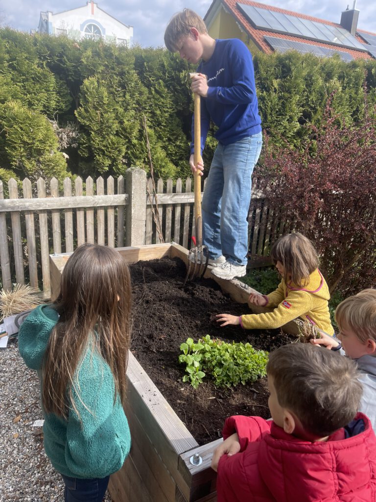 Ein jugendlicher Helfer in einem blauen Pullover steht auf dem Rand eines hölzernen Hochbeets und lockert mit einer Grabgabel die Erde, während mehrere Kinder neugierig zuschauen und im Beet mithelfen.
