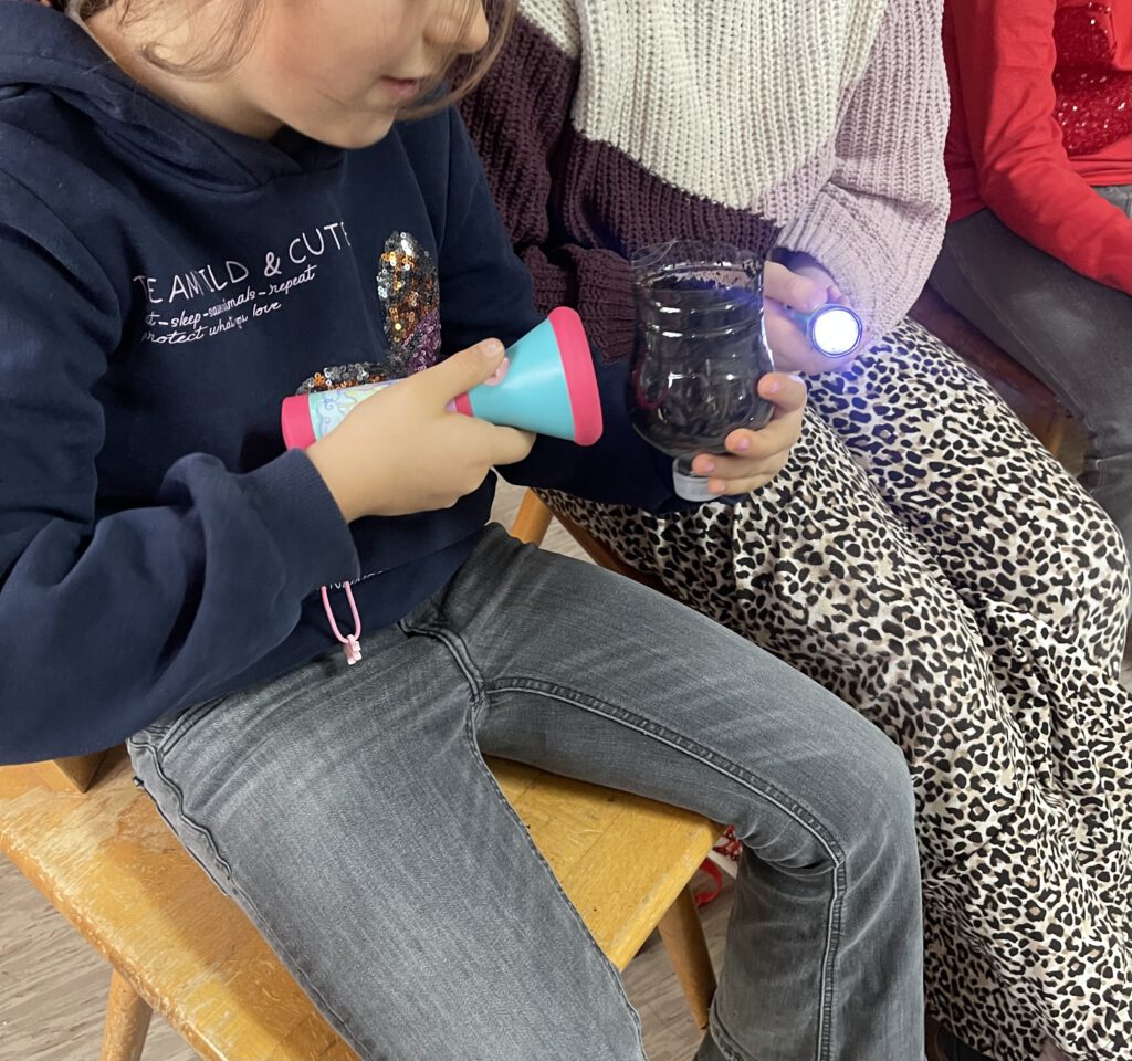 Suche von Lebewesen im Becher, mit hilfe einer Taschenlampe