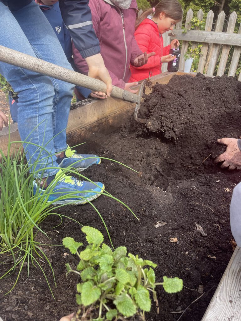 Kinder und Erwachsene arbeiten gemeinsam an einem hölzernen Hochbeet, lockern die dunkle Erde mit Werkzeug auf und bereiten das Beet im Rahmen der „Beet Buddies“-Gartenaktion für die neue Saison vor.