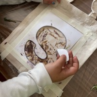 Ein Kind in einem weißen Oberteil gestaltet im Rahmen des Beet-Buddies-Workshops eine Baumwolltasche mit Pflanzenfarben; auf dem Stoff ist ein mit Klebeband fixiertes Motiv in Form des Buchstabens „S“ zu sehen, das durch das Abdrücken von Blüten und Gräsern natürliche Muster erhalten hat.