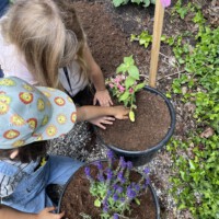 Zwei Kinder pflanzen im Garten gemeinsam bienenfreundliche Blumen in große Pflanzkübel mit dunkler Erde, um als „Beet Buddies“ neue Nahrungsquellen für Bienen und Insekten zu schaffen.