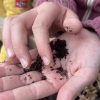 Nahaufnahme von Kinderhänden, die vorsichtig etwas Erde und ein kleines Bodenlebewesen auf der offenen Handfläche halten.