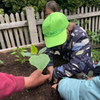Mehrere Kinder und ein Erwachsener pflanzen gemeinsam Gemüsesetzlinge in ein hölzernes Hochbeet; ein Kind trägt eine neongrüne „Beet Buddies“-Kappe und hilft aktiv mit.