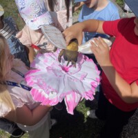 Mehrere Kinder stehen im Freien und stellen die Bestäubung spielerisch nach, indem sie ein Modell einer Biene über eine große, selbstgebastelte rosa-weiße Papierblume halten.