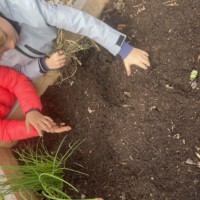 Ansicht von oben auf ein hölzernes Hochbeet, an dem Kinder in bunten Jacken die dunkle Erde bearbeiten, während ein Kind im Vordergrund vorsichtig einen Regenwurm auf der Hand hält.